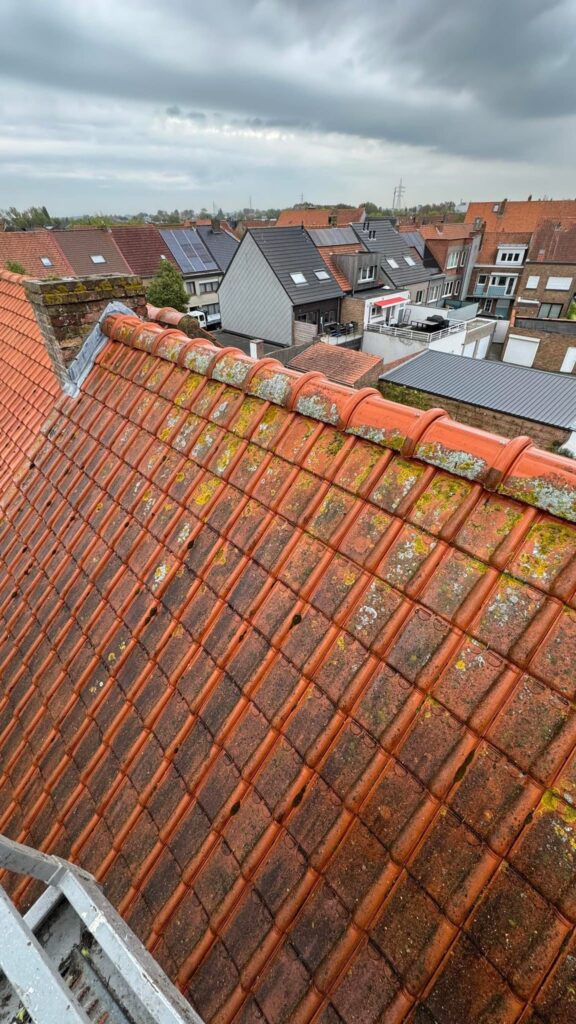 Dakontmossing West-Vlaanderen, regio Kortrijk